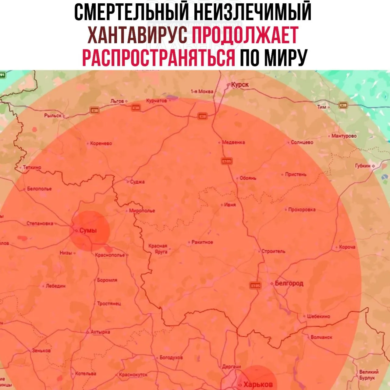 По сообщениям, случаи хантавируса фиксируют в Харьковской, Сумской и Львовской областях; в Израиле назвали первый подтверждённый случай у человека, посетившего Восточную Европу. В российских СМИ и в сети упоминают возможный риск для Белгородской, Курской, Брянской и Воронежской областей — данные требуют проверки.