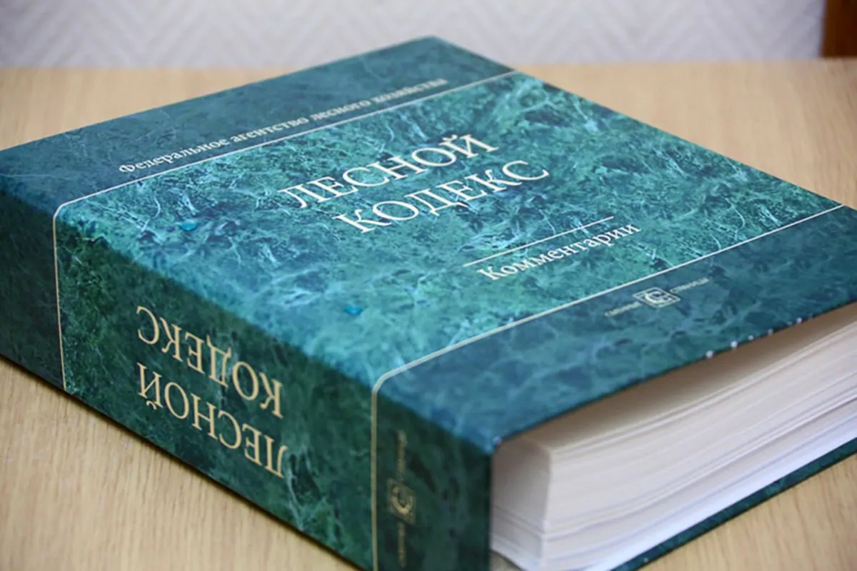 Лесной кодекс 2006 года претерпел десятки пакетов поправок; специалист по лесам считает, что вместо постоянных правок требуется полностью обновлённый и упрощённый кодекс.
