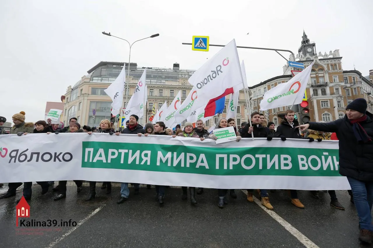 После регистрации федерального списка «Яблока» эксперты полагают, что власти могли позволить партии участвовать, чтобы направить протестные настроения в контролируемое русло; при этом многие известных членов партии не допущены к кандидатам.