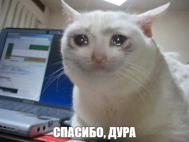 Министр экономического развития предложил возвращать пенсионеров и людей предпенсионного возраста на рынок труда через переобучение, стажировки и гибкую занятость; в Трудовой кодекс уже внесены изменения по увеличению предела сверхурочных часов.