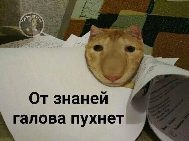 Минспорт планирует ввести испытание по управлению небольшим дроном в тестовом режиме уже в этом году, а с следующего года — повсеместно; значок ГТО за это испытание может давать до 10 дополнительных баллов при экзаменах.