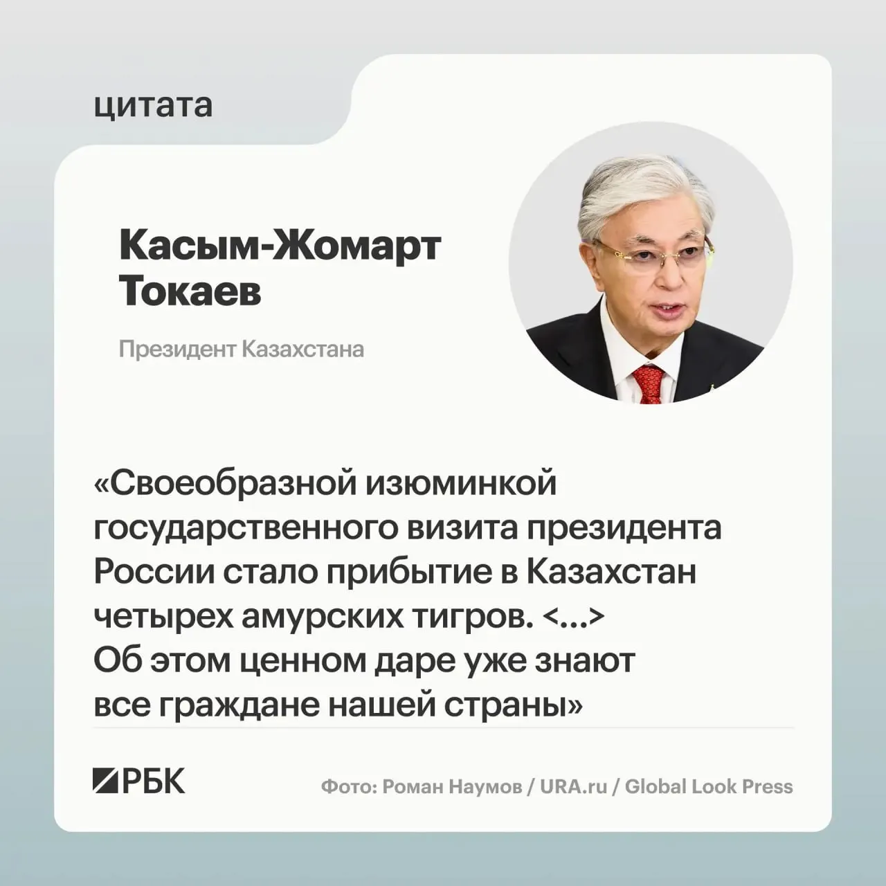 Казахстан получил от России семейство амурских тигров в рамках помощи по восстановлению вида — президентам продемонстрировали презентацию о животных.
