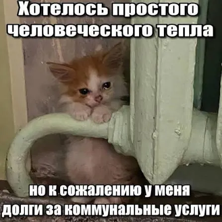 ВС подтвердил, что по общему правилу исковой давности в три года долги за капитальный ремонт старше этого срока не подлежат принудительному взысканию и не должны отражаться в платёжных ведомостях.