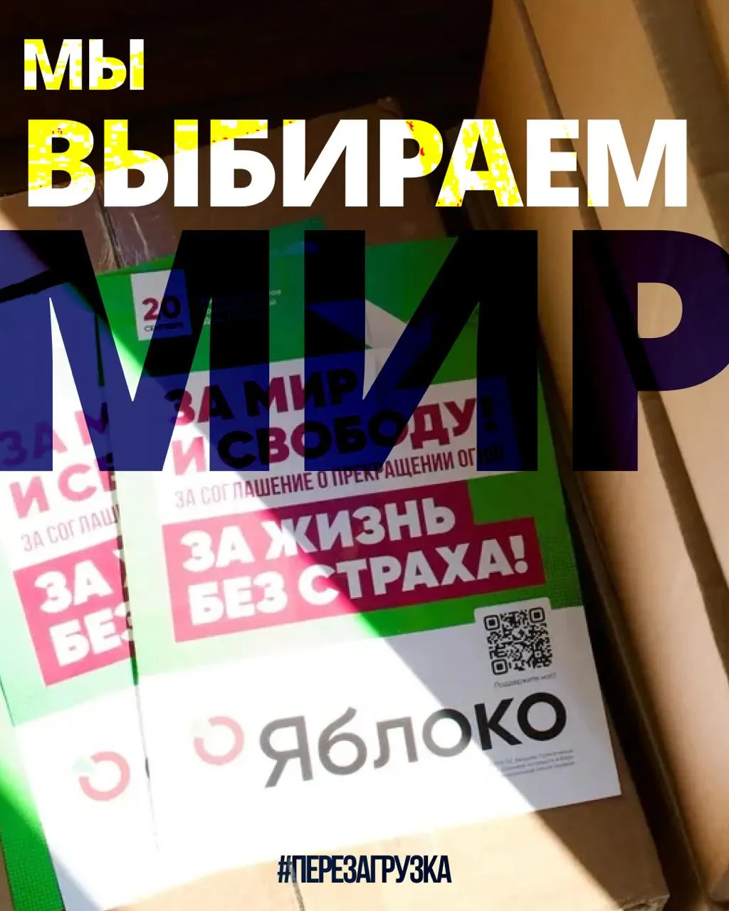В 53 регионах развертываются кампании 135 кандидатов от партии; активисты по всей стране призывают к миру и свободе.