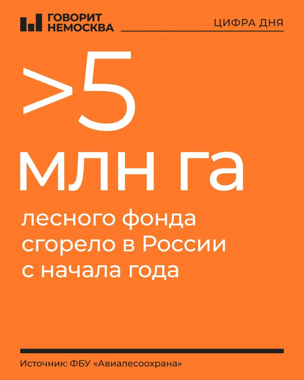 За год зарегистрировано почти 8 тысяч лесных пожаров; наиболее напряженная ситуация — в Дальневосточном и Сибирском федеральных округах, а также в Ямало-Ненецком автономном округе.