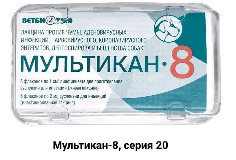Владельцы собак требуют независимого расследования гибели питомцев после вакцинации препаратом «Мультикан-8»; случаи зафиксированы в нескольких регионах.