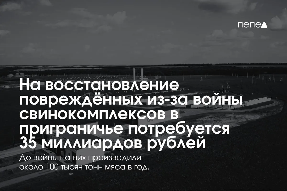 В Белгородской, Курской и Брянской областях планируется вложение около 35 миллиардов рублей на восстановление свиноводческих предприятий после обстрелов и атак беспилотников.