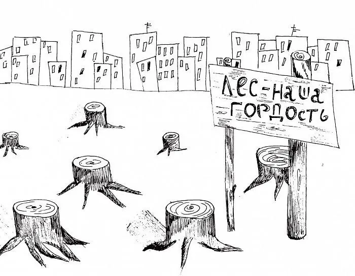 В Железногорске обсуждают перевод лесных участков в рекреационную зону и изменения в генплане после протестов жителей и действий властей.
