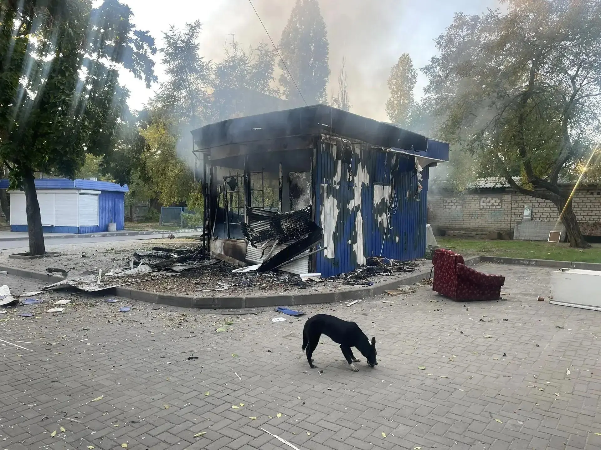 За ночь зафиксированы массовые атаки беспилотников по территории страны, основная волна ударов пришлась на центр.
